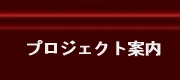 プロジェクト案内