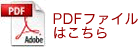 平成21年度大会PDFはこちら